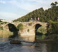 Puente  sobre el Río Salado
